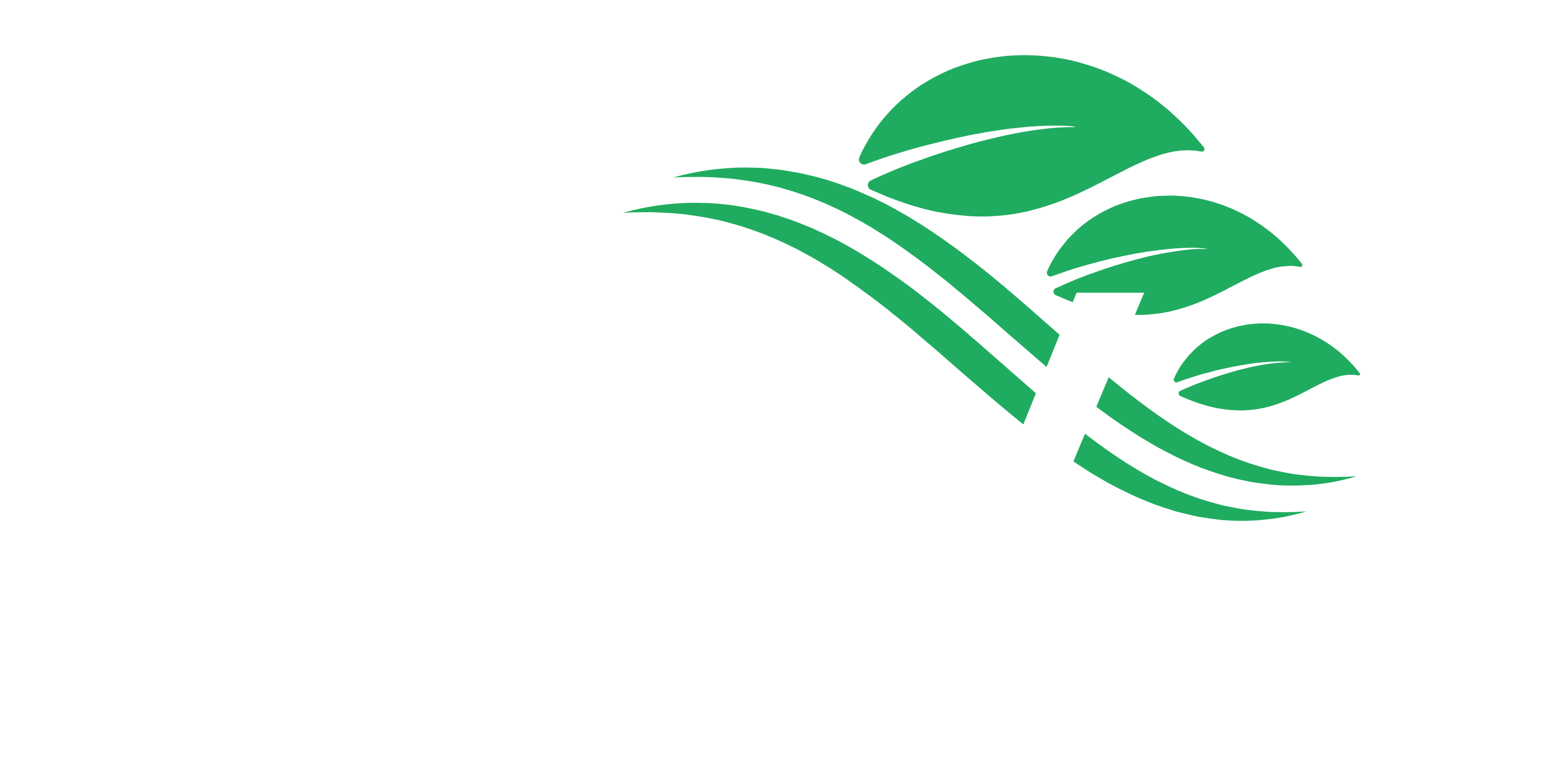 Entenda o que é ESG  XLV Serviços Empresariais