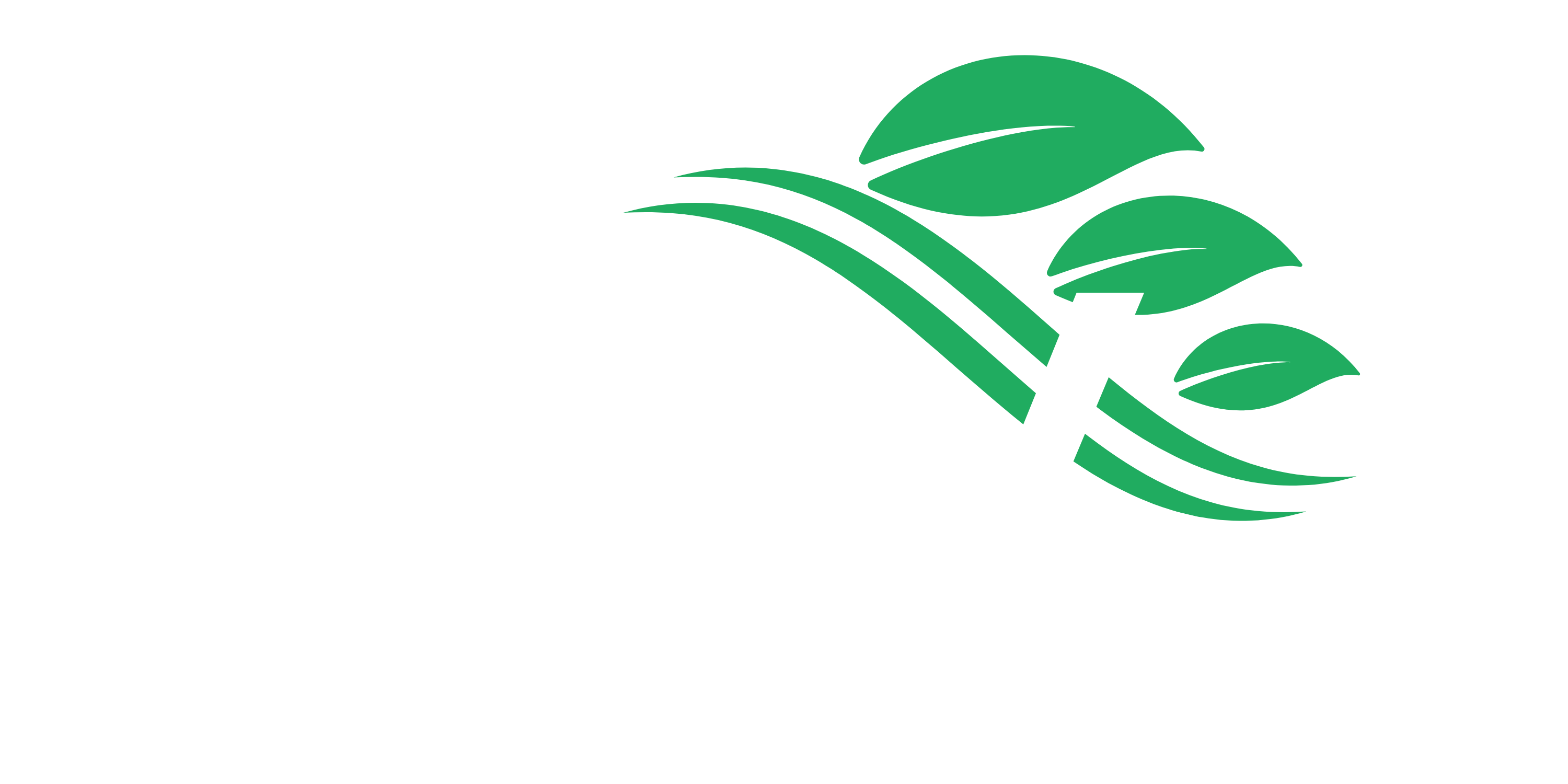 logo_xlv_transparente